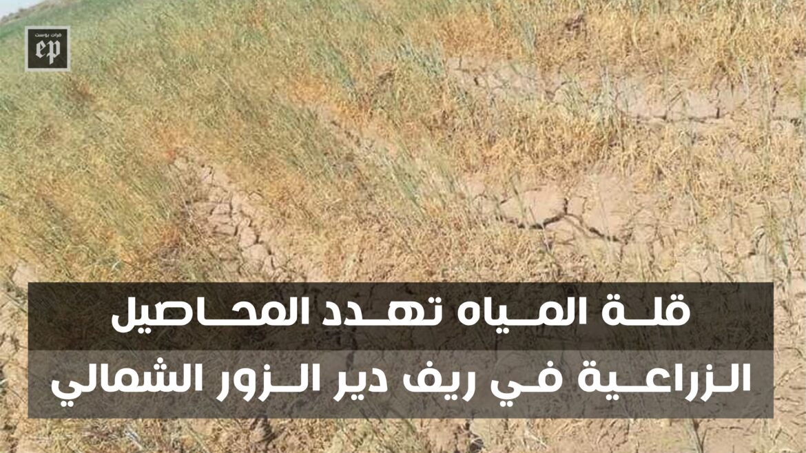 IMG_20210414_142509_697