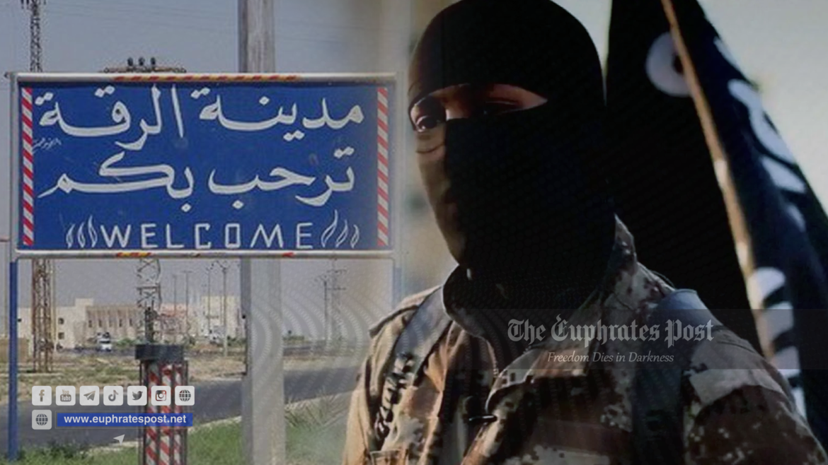 IMG_20220724_163456_339