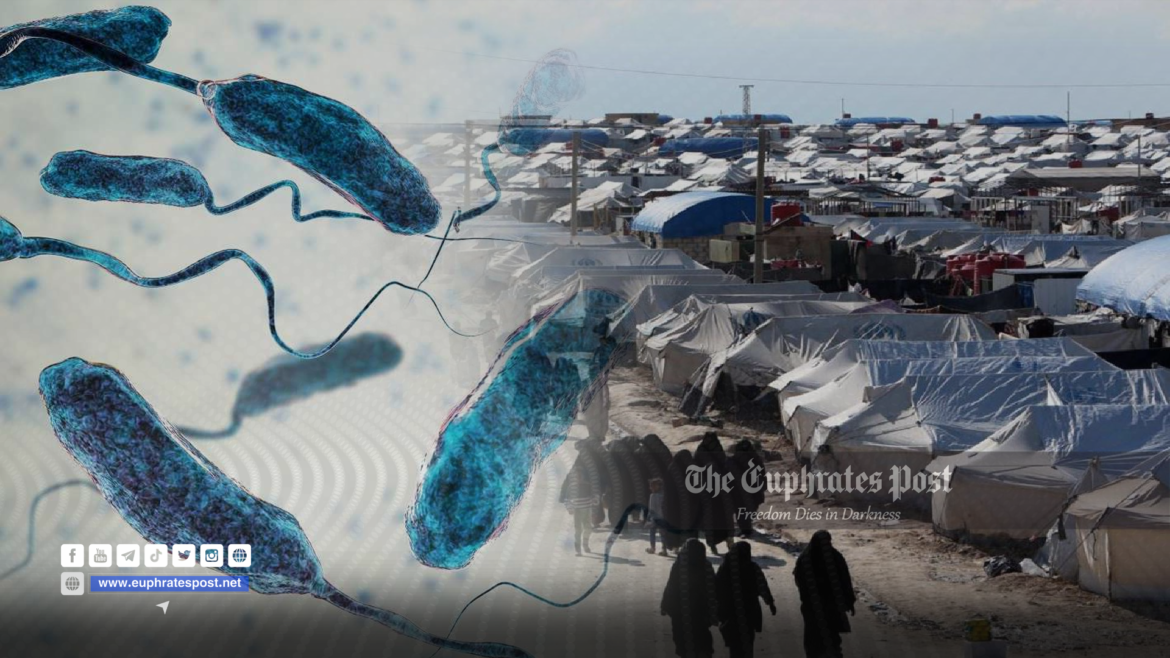 image_2022-11-02_17-20-10