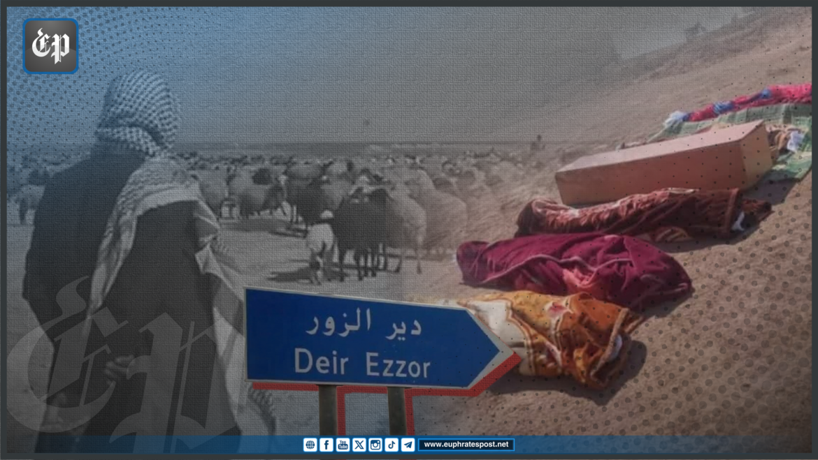 image_2023-09-10_16-53-14