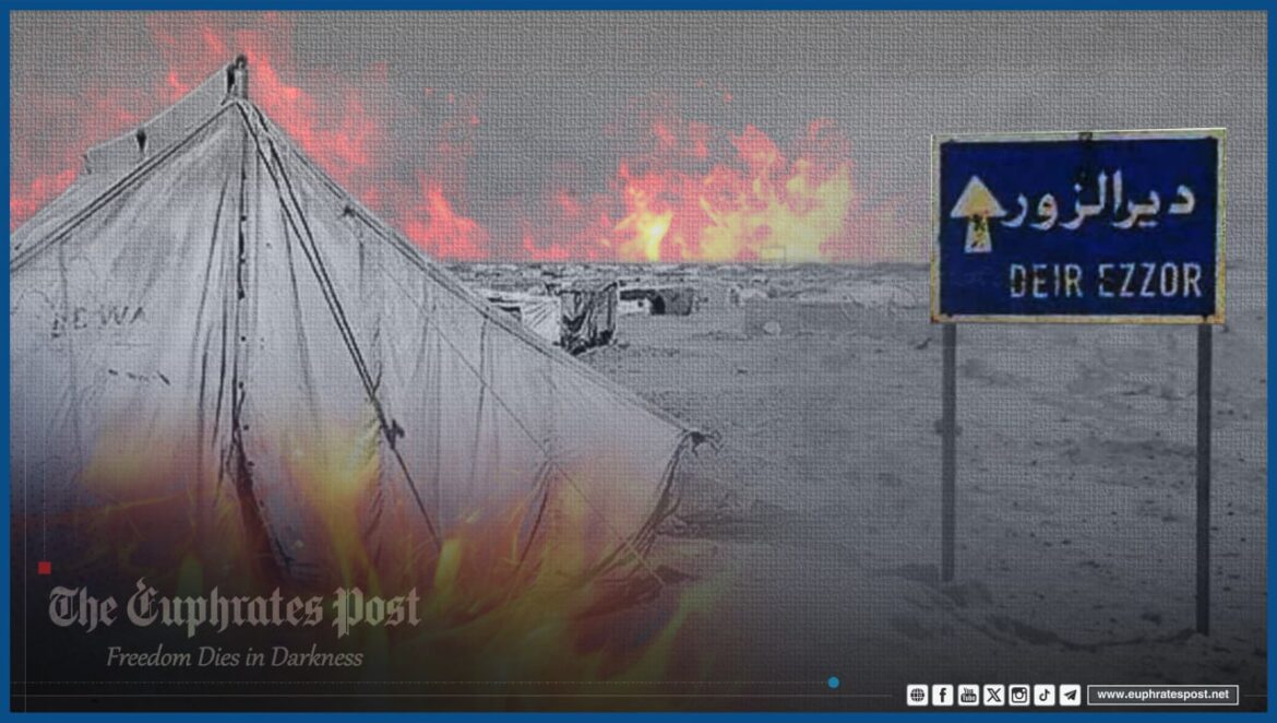 photo_2024-05-08_20-05-34