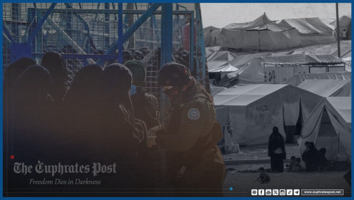 photo_2024-11-19_18-48-09