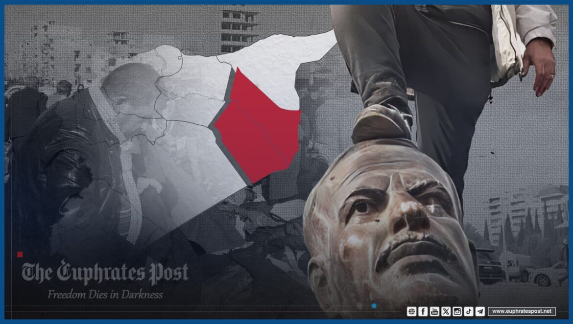 photo_2025-02-11_20-02-35