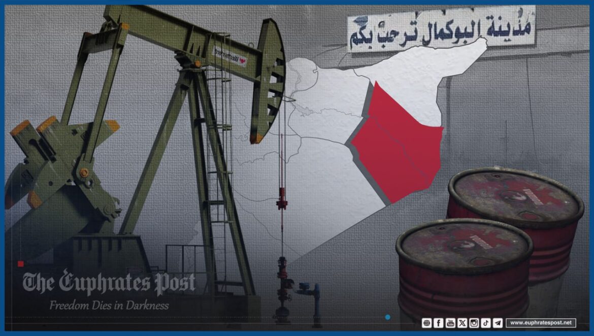 photo_2025-02-12_20-31-29