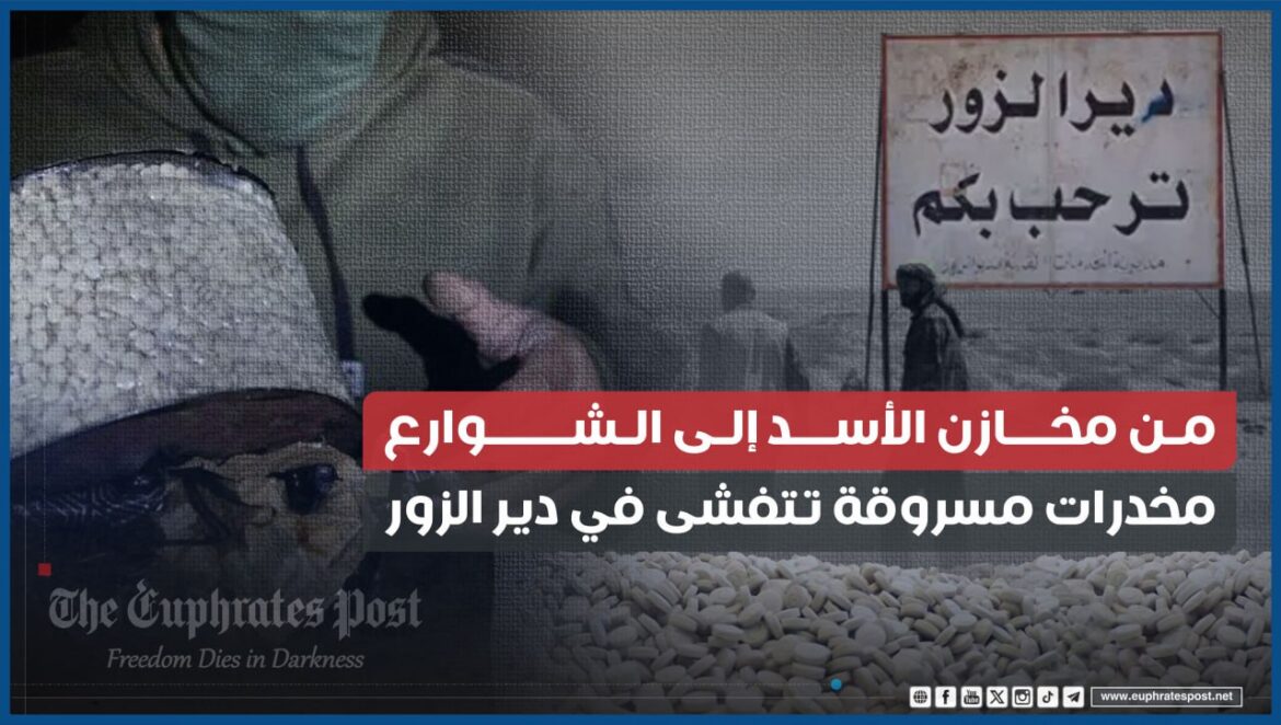 photo_2025-02-12_22-14-45