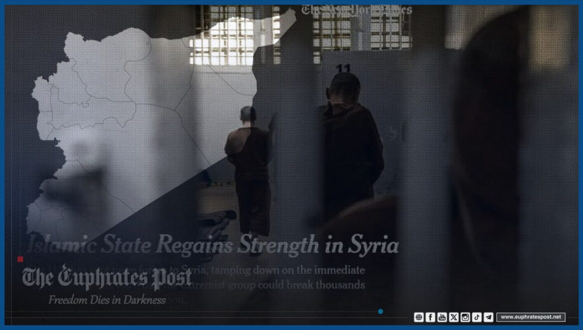 photo_2025-04-10_21-27-46