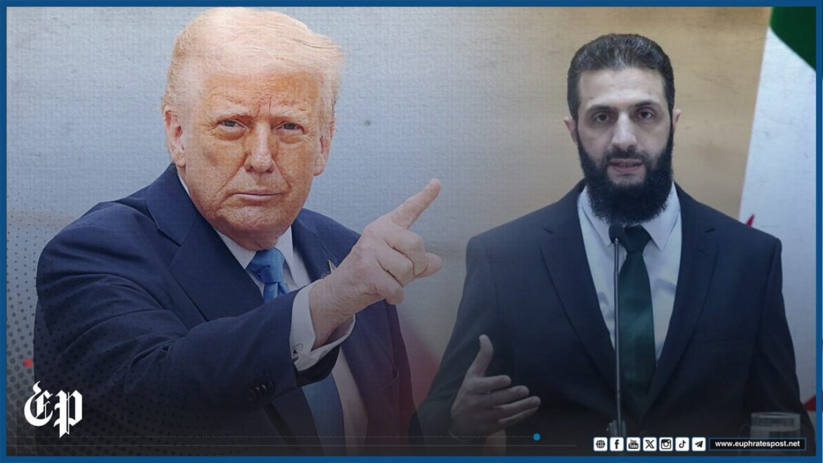 photo_2025-05-12_22-04-19