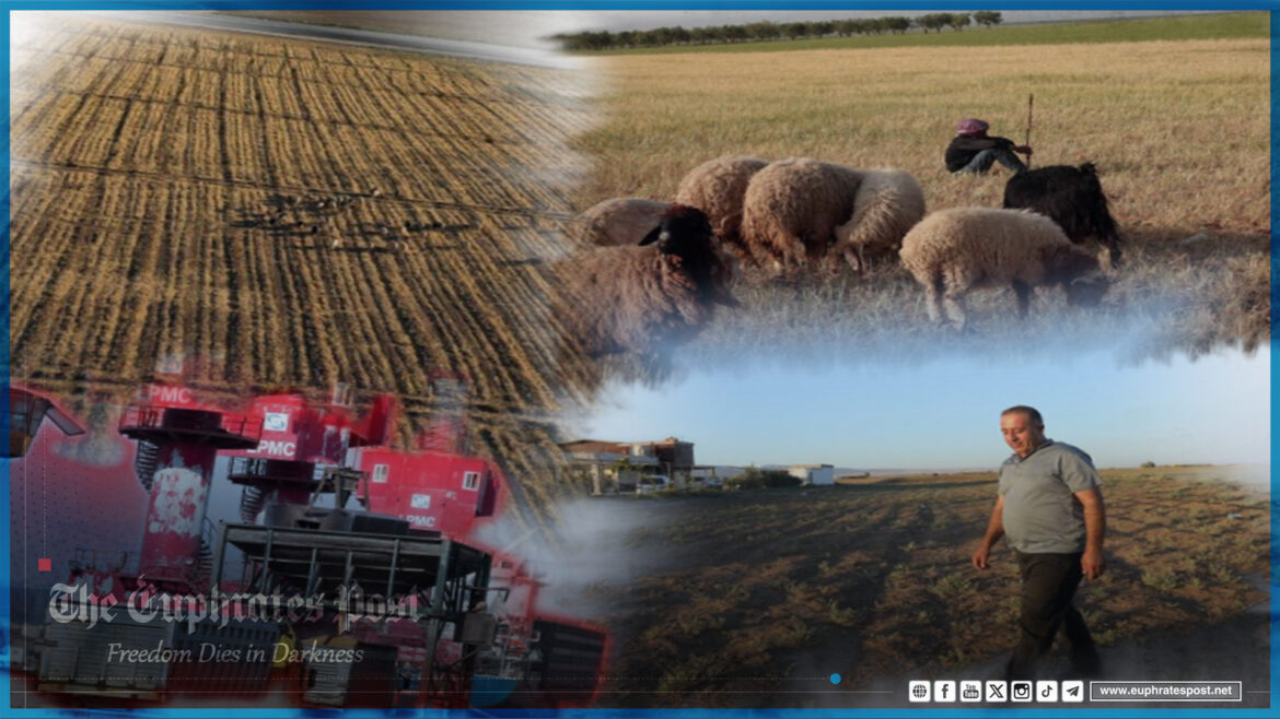 Euphratespost-Syria- wheat shortage